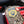 Sherf Velcro Embroidered Patch